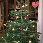Penzion Hřebenka 3*